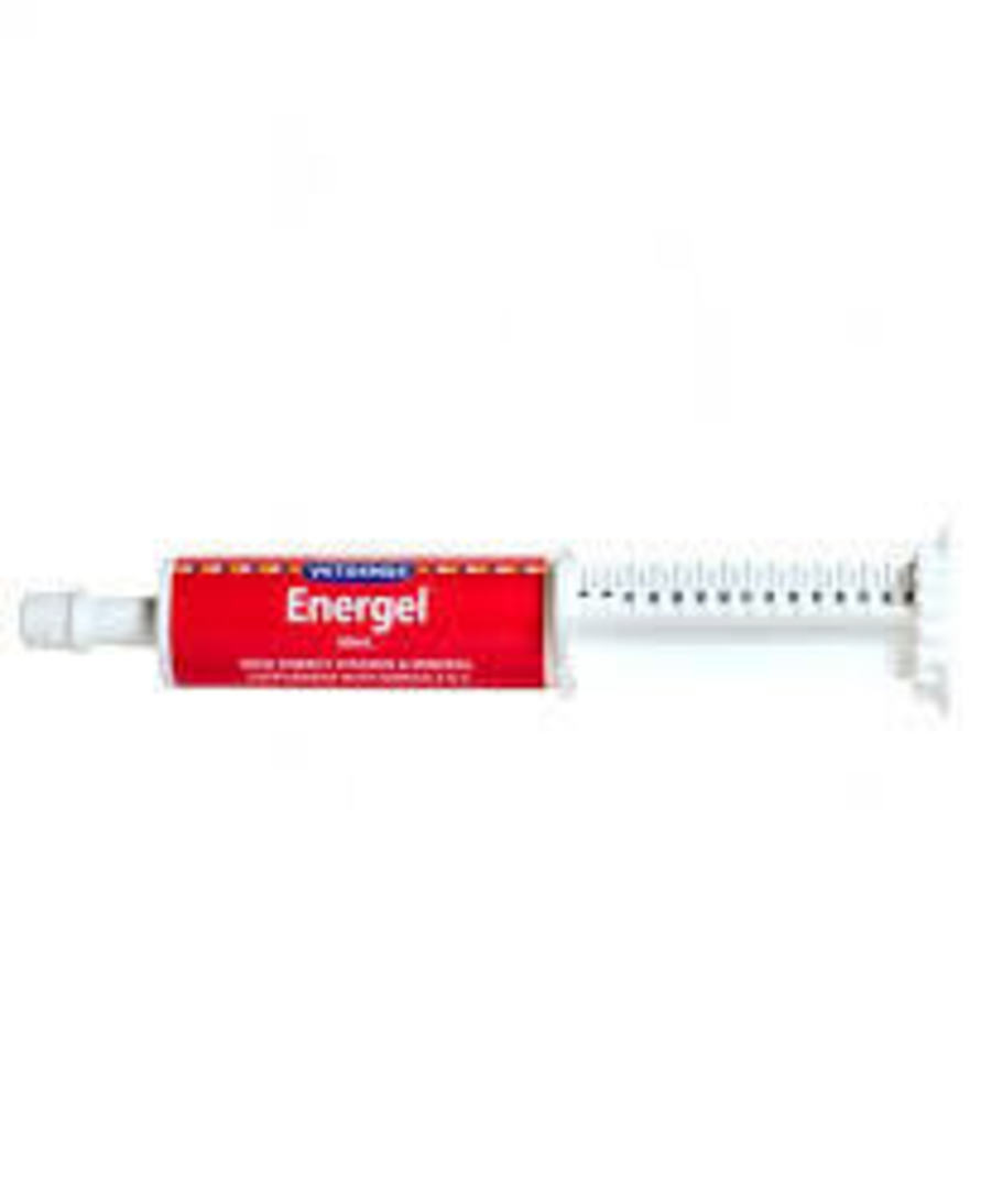 Energel Vetsense 60ml is a highly palatable source of energy for Dogs, Cats, Puppies & Kittens image 0